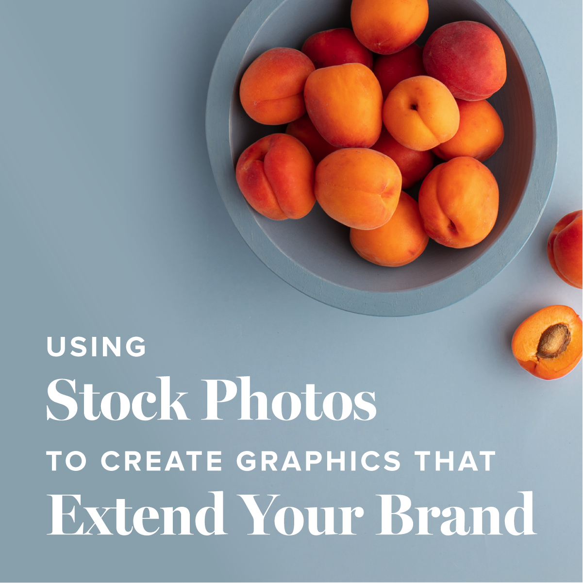 Using Stock Photos to Create Graphics | The Design Lab